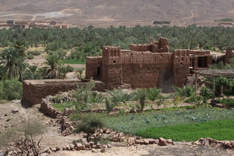 Kasbah in Tamnougalt surrounded by green palmery and desert landscape, Tamnougalt, Drâa-Tafilalet