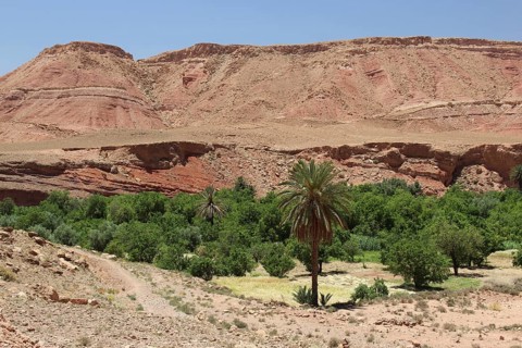 Desert landscape of Tamdakth with rocky hills and green oases, Tamdakht, Drâa-Tafilalet region,