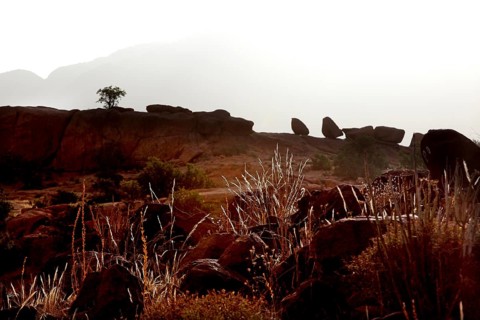 Tafraoute shows rock formations and barren landscape with lonely tree, Tafraoute, Souss-Massa