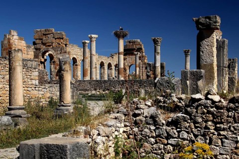 Detailed view of the basilica of Volubilis with well-preserved columns against a bright blue sky,