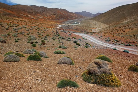 View of a valley with a serpentine road in a rocky, barren area, Tizgui n'Ouadda, Morocco