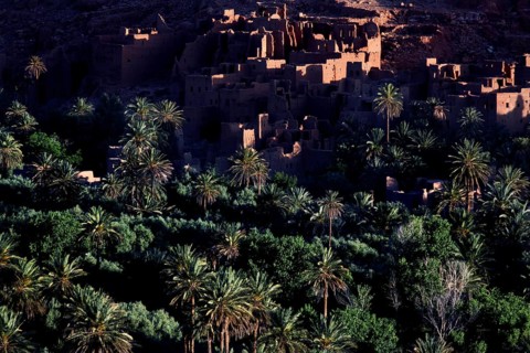 The Todra Gorge with lush palm-fringed vegetation in the foreground, Todra, Drâa-Tafilalet region,
