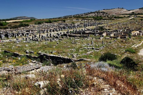 Decumanus Maximus, the main street of Volubilis, stretches through ancient ruins to the nearby