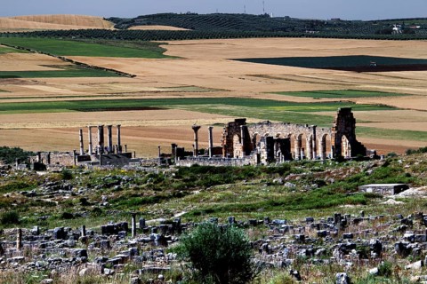 Basilica and Capitol of Volubilis surrounded by ruins and vast fields. The ancient structures rise