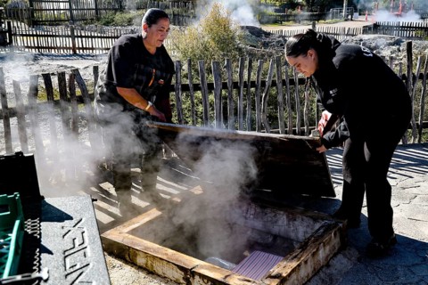 Maori traditionally prepare hangi in a steaming earth pit, Rotorua, New Zealand