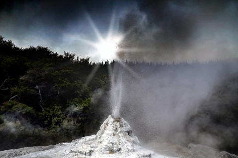 The Lady Knox geyser at sunrise in the Wai-O-Tapu geothermal area