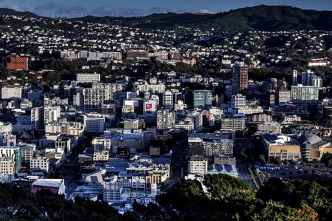 View of Wellington from Mount Victoria Lookout with residential buildings and surrounding green