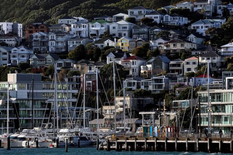 Houses on a hill with harbour and boats in the Wellington district, Wellington, North Island, New