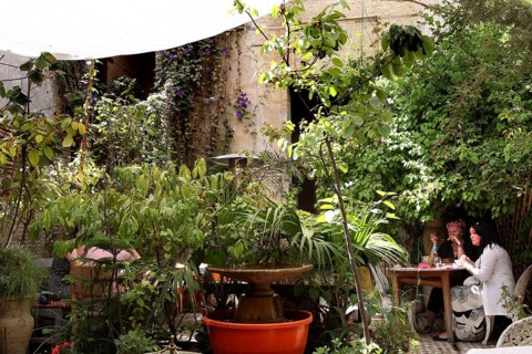 Two people around a table in a lush garden, relaxed atmosphere, Fez, Fez el Bali, Morocco