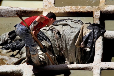 A worker in a traditional tannery works leather in a paint tank, Fez, el-Bali, Chouwara, Morocco