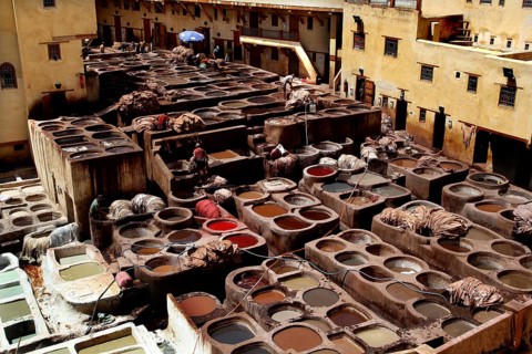 Traditional tannery in Fez, where workers treat leather in colored basins, Fez, el-Bali, Chouwara,