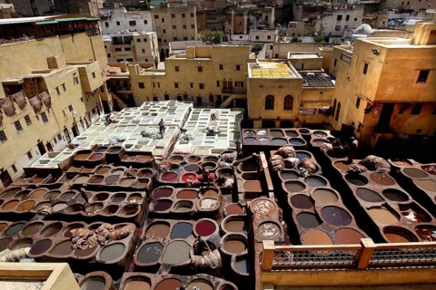 The hustle and bustle of a traditional leather tannery in Fez with countless paint basins, Fez,