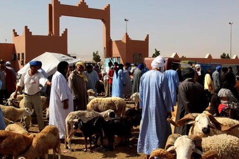 A lively cattle market with people in traditional garments and sheep, Guelmim, Guelmim-Oued Noun,
