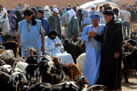 People trading in traditional clothing at a cattle market, Guelmim, Guelmim-Oued Noun, Morocco