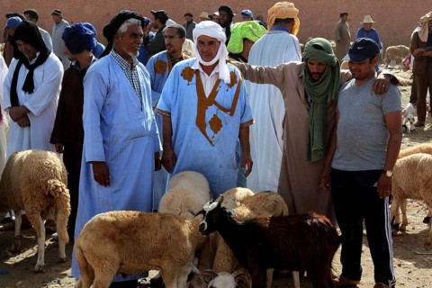 Men in traditional clothing stand with sheep at a lively market, Guelmim, Morocco