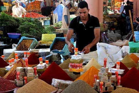 Market scene with colorful spice pyramids and a retailer presenting products, Guelmim, Morocco