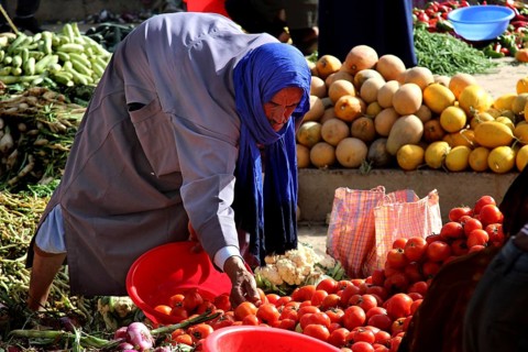 Woman selects tomatoes in colorful vegetable souk from Guelmim, Guelmim, Guelmim-Oued Noun, Morocco