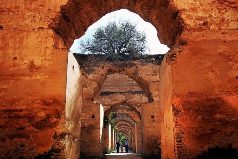 Historic brick arches lead the gaze into the distance, a tree in the background, Meknes,