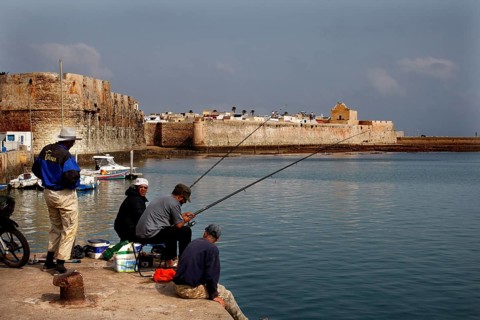 View of fishermen at the harbor with the Cité Portugaise in the background, El Jadida,
