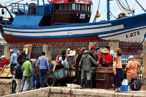 Fishermen prepare their catch while people work at the port of Essaouira, Essaouira, Morocco