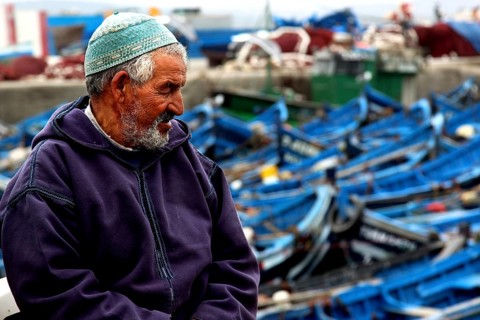 A fisherman sits in the harbor in front of numerous blue fishing boats, Essaouira, Marrakesh-Safi,