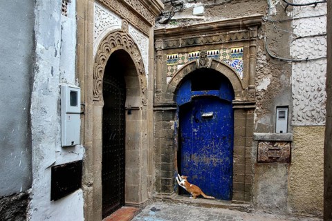 Blue door with mosaic and cat in an alley in the old town of Essaouira, Essaouira, Morocco