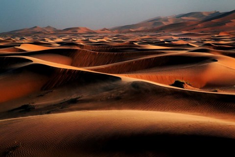 Endless sand dunes of the Erg Chebbi desert under a blue sky, Erg Chebbi, Morocco