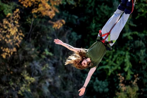 Headlong jumper bungee jumping amidst colorful autumn leaves, Queenstown, Otago, New Zealand