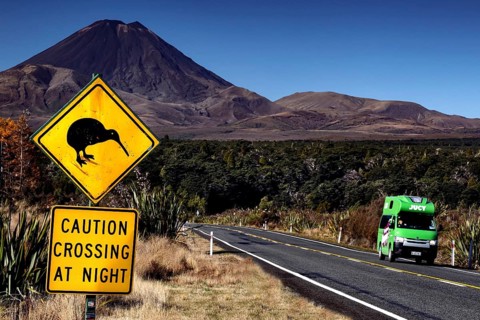Yellow kiwi sign on roadside with green camper in front of majestic mountain, Tongariro National