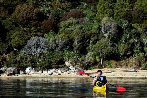 Person in yellow kayak off quiet wooded beach, Te Pukatea Bay, New Zealand