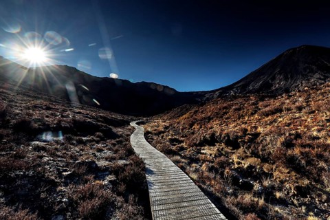 Timber trail through alpine landscape with bright sunshine in Tongariro National Park, Tongariro