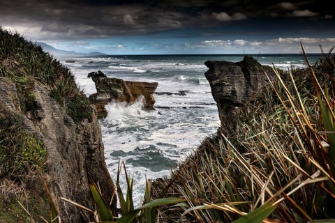 Rocks and ocean vegetation at Pancake Rocks, Punakaiki, West Coast, New Zealand