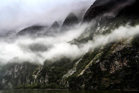 Steep, misty rocks in Milford Sound, crisscrossed by thick clouds and lush greenery, zero