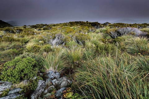 Grassland and rocks under cloudy sky in Hocker Valley, New Zealand, zero