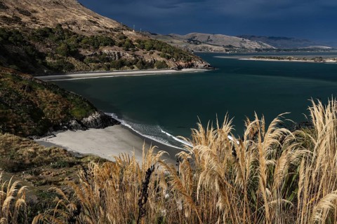 Coastal view of Pilot's Beach with views of the ocean and surrounding hills, Otago Peninsula, New