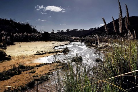 Small river meanders through a sandy landscape with thick vegetation