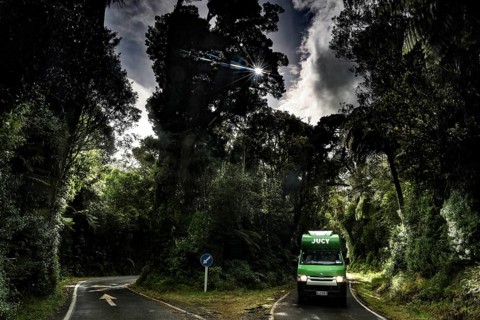 A green Jucy camper on a shady road in Mt Egmont National Park surrounded by tall trees, Taranaki,
