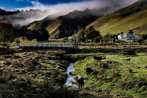 View of a picturesque landscape with river and bridge along the Forgotten World Highway in New