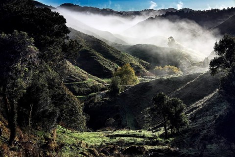 Sunlight breaks through morning haze over the hilly landscape of the Forgotten World Highway, zero