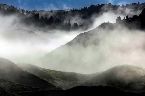 Morning haze on the Forgotten World Highway that bathes the mountains in mysterious light, zero