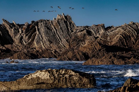 Dramatic rock formations on the Kaikoura coast with flying birds, zero