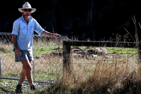 Man wearing sunscreen clothing stands next to a pasture fence in a field, Kaikoura, New Zealand