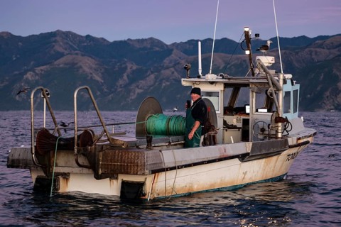 Small fishing boat on the sea against a mountainous backdrop in Kaikoura, Kaikoura, Canterbury, New