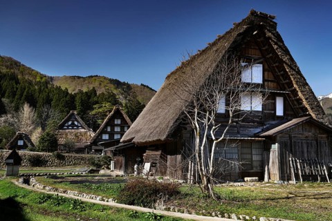 Traditional gassho-zukuri houses nestled in a mountainous landscape, Shirakawa, Gifu, Japan