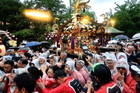 Celebrators wearing traditional clothing wear Mikoshi in the rain at Sanja Matsuri, Tokyo, Asakusa,