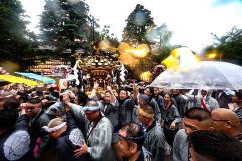 Crowd of people with umbrellas at festive Sanja Matsuri parade, Tokyo, Asakusa, Japan
