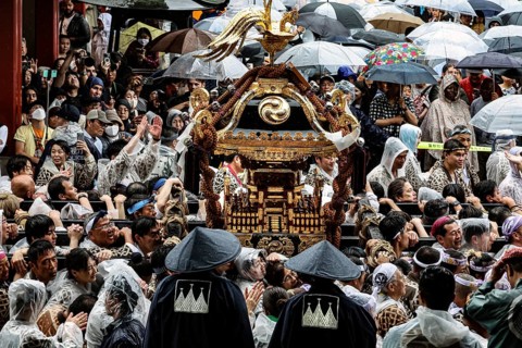 Crowds with umbrellas surround Mikoshi during Sanja Matsuri, Tokyo, Asakusa, Japan