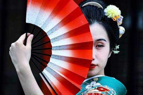Elegant woman wearing green kimono with fans in front of Senso-ji in Asakusa, Tokyo, Asakusa, Japan