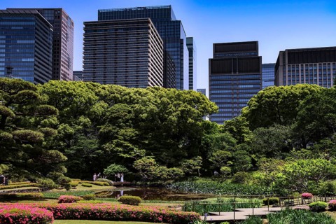 Ninomaru Imperial Palace Garden with modern skyscraper backdrops, Tokyo, Japan
