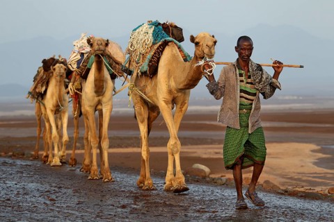 ETH Dallol, caravan